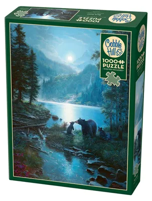 Image de COBBLE HILL Bä puzzle de la nuit de la course 1000 pièces