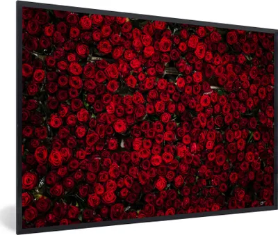 Produktbild von MuchoWow® MuchoWow® Gerahmtes Poster Blumen - Rosen - Rot 60x40 cm - Poster mit zchwarzem Bilderrahmen - Printing - Wanddeko Schlafzimmer