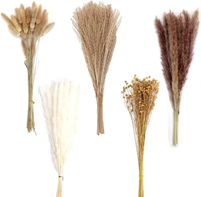 Produktbild von Pampasgras Getrocknet 90 Stück Set Natürliche Trockenblumen Braun Weiß Pampasgras Flauschige WedelTrockenblumen Strauß Dried Flowers Heim Decor