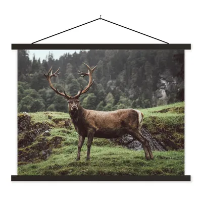 Produktbild von MuchoWow® Textilposter Hirsch - Baum - Berg 120x90 cm mit schwarzem Rahmen - Aufhänger für Poster