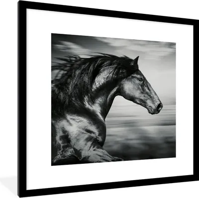 Produktbild von MuchoWow® Gerahmtes Poster Pferd - Tiere - Schwarz - Weiß 40x40 cm - Poster mit Schwarzem Bilderrahmen Wandposter Rahmen Foto Bilder - Poster - Plakat im Rahmen