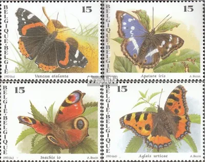 Produktbild von Briefmarken Belgien 1993 Mi 2555-2558 (kompl.Ausg.) postfrisch Schmetterlinge