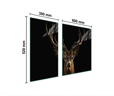 Produktbild von Glasschutzplatte Für Herd 90X52 Hirsch