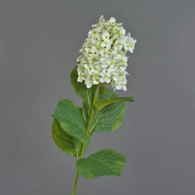 Produktbild von artplants.de Künstliche Blume Hortensie Paniculata YANGDAN, Creme, 85 cm - Künstliche Stielblume