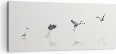 Produktbild von Bild auf Leinwand - Leinwandbild - Einteilig - Flug Vogel Reiher - 120x50cm - Wand Bild - Wanddeko - Wandbilder - Leinwanddruck - Bilder - Wanddekoration - Leinwand bilder - Wandbild - AB120x50-5096
