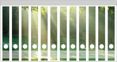 Produktbild von Wallario Ordnerrücken Sticker, selbstklebend für schmale Ordner, 12 Stück, Motiv Sonnenstrahlen im Wald