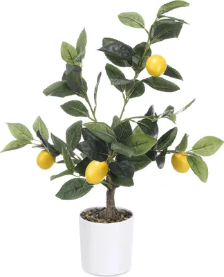 Obrázek produktu pro Dekorativní citronovník, 58 cm
