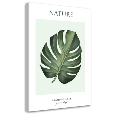 Produktbild von Leinwandbild Grünes Blatt – Natur 70x100 Feeby Grün bild für die wand bereit zum aufhängen