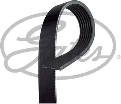 Obrázok produktu pre Viacrebrový pás GATES 7PK1770
