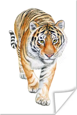 Produktbild von MuchoWow® Poster Tiger - Augen - Gelb 20x30 cm - Papierdruck