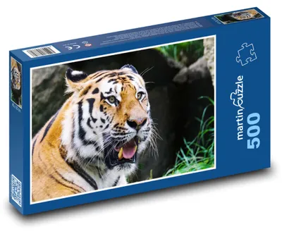 Obrázek produktu pro martinpuzzle - Puzzle 500 - Tygr - dravec, zvíře