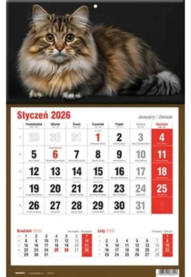Immagine prodotto di Calendario tripartito 31 x 48 cm