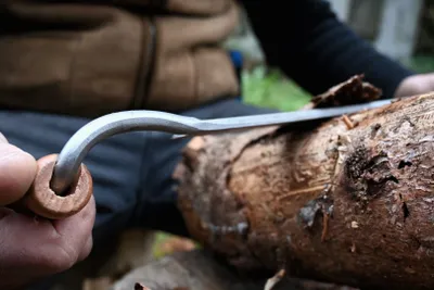 A person is using a curved knife to shave bark off a log.