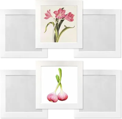 Produktbild von Set von 6 Bunte Fotorahmen, Wandmontage ohne Nägel, Kreative Wanddekoration für Zuhause