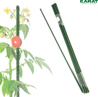 Produktbild von Pflanzstab Leah verschiedenen Längen & Stärken Stärke: 11 mm Länge: 60 cm