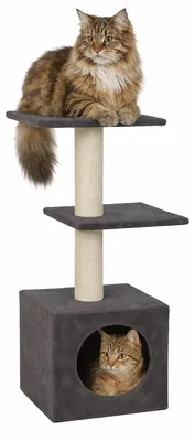 Produktbild von Kratzbaum – Charmaine Grau – 99 cm – Weicher Plüsch 200 g/m² – Jute-Kratzseile Ø
