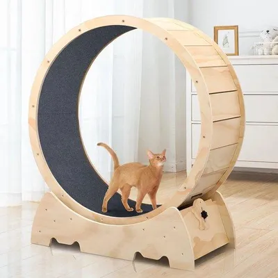 Produktbild von Katzenlaufrad - Fitness für große Katzen - Gelb