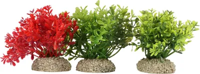 Produktbild von Aqua Della Aquariumpflanze Glossostigma natur