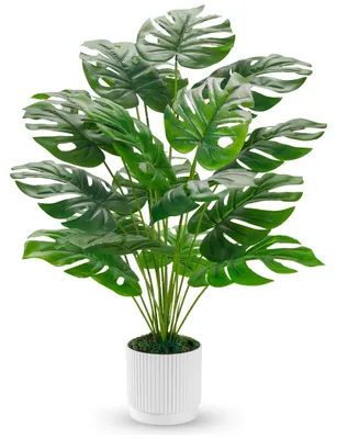 Image de Monstera artificiel de 71 cm, idéal pour le balcon, la chambre, le salon, la chambre à coucher et comme décoration.