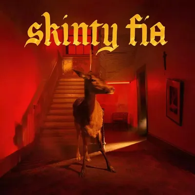 Immagine prodotto di Fontaines D.C. - Skinty Fia (CD)
