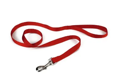 Produktbild von Beeztees - Hundeleine - Nylon - rot - 100 cm x 20 mm