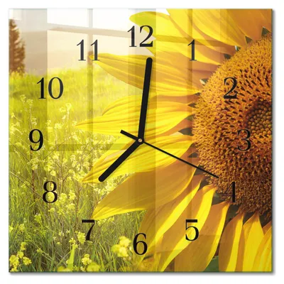 Immagine prodotto di Orologio da parete Tulup Glasuhr, orologio da cucina, vetro vero, 30x30 cm, design moderno e decorativo, silenzioso, con lancette nere - motivo: girasole