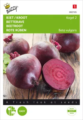 Produktbild von Rote Rüben Runde Kugel 2 | Rote Beetesamen von Buzzy Seeds