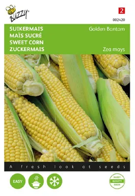 Produktbild von Buzzy Zuckermais Golden Bantam