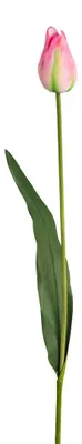 Produktbild von Kunstblume französische Tulpe ca. 86cm. Künstliche Tulpe ROSA