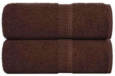 Image de vidaXL Serviettes d'invités FROGN, lot de 2, marron, 30 x 50 cm, 360 g/m²