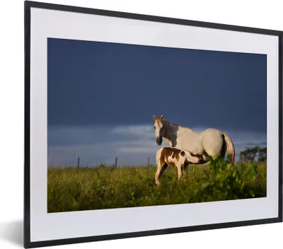 Produktbild von MuchoWow® MuchoWow® Gerahmtes Poster Pferde - Gras - Fohlen 40x30 cm - Poster mit zchwarzem Bilderrahmen - Bilderrahmen - Poster im Rahmen