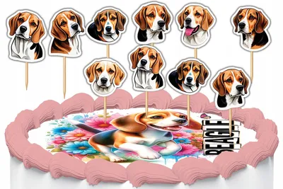 Zdjęcie produktu dla Toppery Na Tort Ozdobne Dekoracja Zestaw - Pies Psy Rasa Beagle 10Szt.