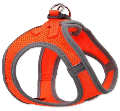 Obrázek produktu pro Postroj Dog Fantasy Puppy S oranžový 36-41cm