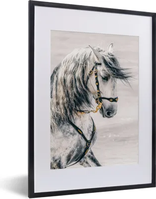 Produktbild von MuchoWow® MuchoWow® Gerahmtes Poster Pferd - Gold - Halfter 30x40 cm - Poster mit zchwarzem Bilderrahmen - Wandposter Schlafzimmer