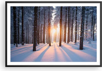 Produktbild von Gerahmtes Poster - Schwarzer Rahmen - Wald Winter Schnee - 91,5x61 cm - Wand Bild - Wanddeko - Wandbilder - Kunstposter - Wandposter - Bilderrahmen - Bilder - Kunstdruck - Wandbild - P2BAA91x61-3629