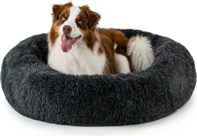 A dog is lying in a round, plush dog bed.