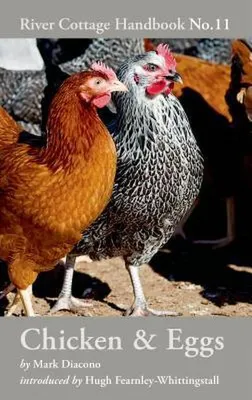 Immagine prodotto di Chicken & Eggs