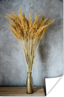 Produktbild von MuchoWow® Poster Getrocknete Blumen - Vase - Stilleben 60x90 cm - Wanddekoration