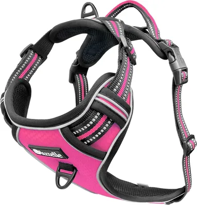 Produktbild von Bluzelle Hundegeschirr große Hunde verstellbar Pet Series Premium
