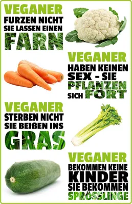 Produktbild von vianmo Holzschild 30x20 cm Veganer furzen nicht sterben Dekoration