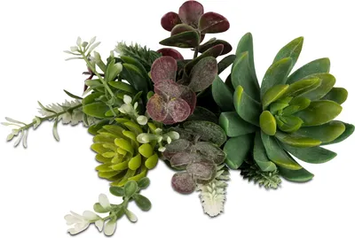 Produktbild von künstlicher Sukkulentenmix H. 16cm grün Formano Kunstblumen F25