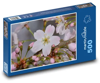 Zdjęcie produktu dla Puzzle 500 Kwiaty na gałęzi - martinpuzzle