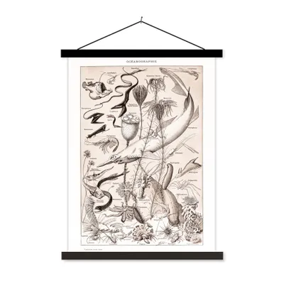 Produktbild von MuchoWow® Textilposter Meerestiere - Meer - Schwarz - Weiß 90x120 cm mit schwarzem Rahmen - Dekoration