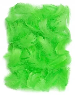 Obrázek produktu pro Piórka zielone dekoracyjne 5-12 cm 10 g
