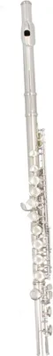 Immagine prodotto di Flauto traverso a 16 fori - Strumento musicale - Per suonare musica - Tonalità di Do - Adatto ai principianti - 46 cm - Argento