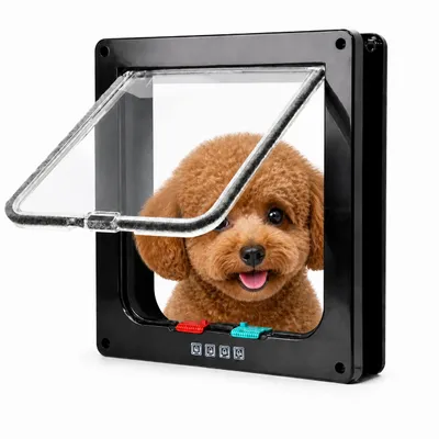 Produktbild von Katzentür Hundeklappe mit 4-Wege-Verschluss, Schwarz, Größe L: 25 x 23,5 cm, KI-generiertes Bild