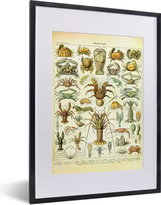 Produktbild von MuchoWow® Gerahmtes Poster Hummer - Tiere - Meerestiere - Vintage - Adolphe Millot 30x40 cm - Poster mit Schwarzem Bilderrahmen Wandposter Rahmen Foto Bilder - Wandposter Schlafzimmer