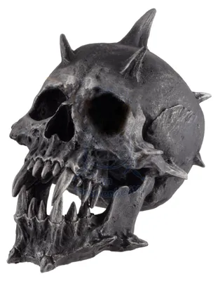 Produktbild von Spike Monsterschädel mit Reißzähnen als Horror & Fantasy Deko 21 cm