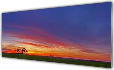 Produktbild von Acrylglasbilder 125x50 Wandbild Druck Landschaft Feld Bäume Natur