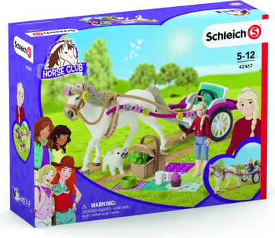 Produktbild von Kutsche für Pferdeshow